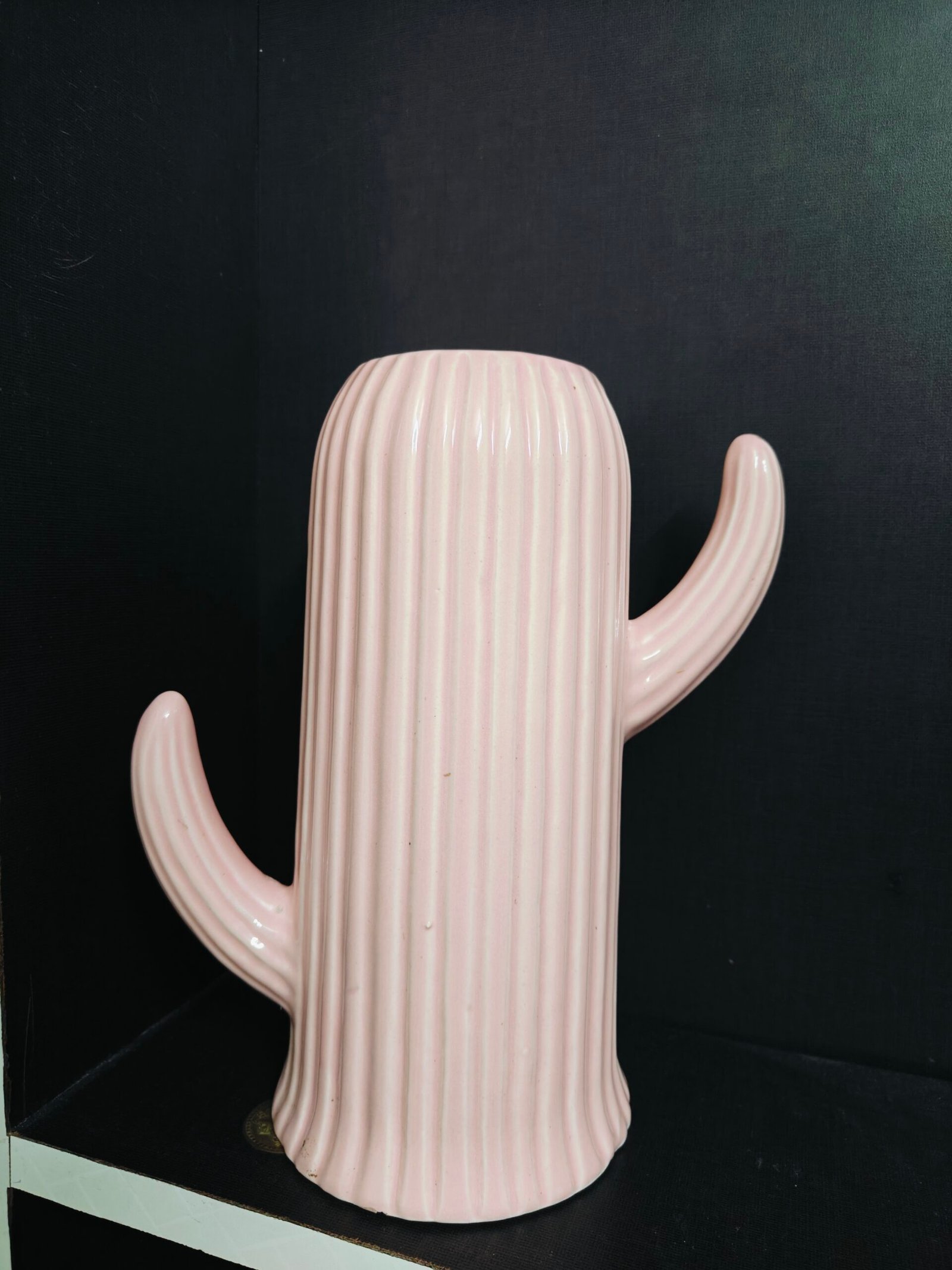 Ceramic Cactus Vase (11") : Pink