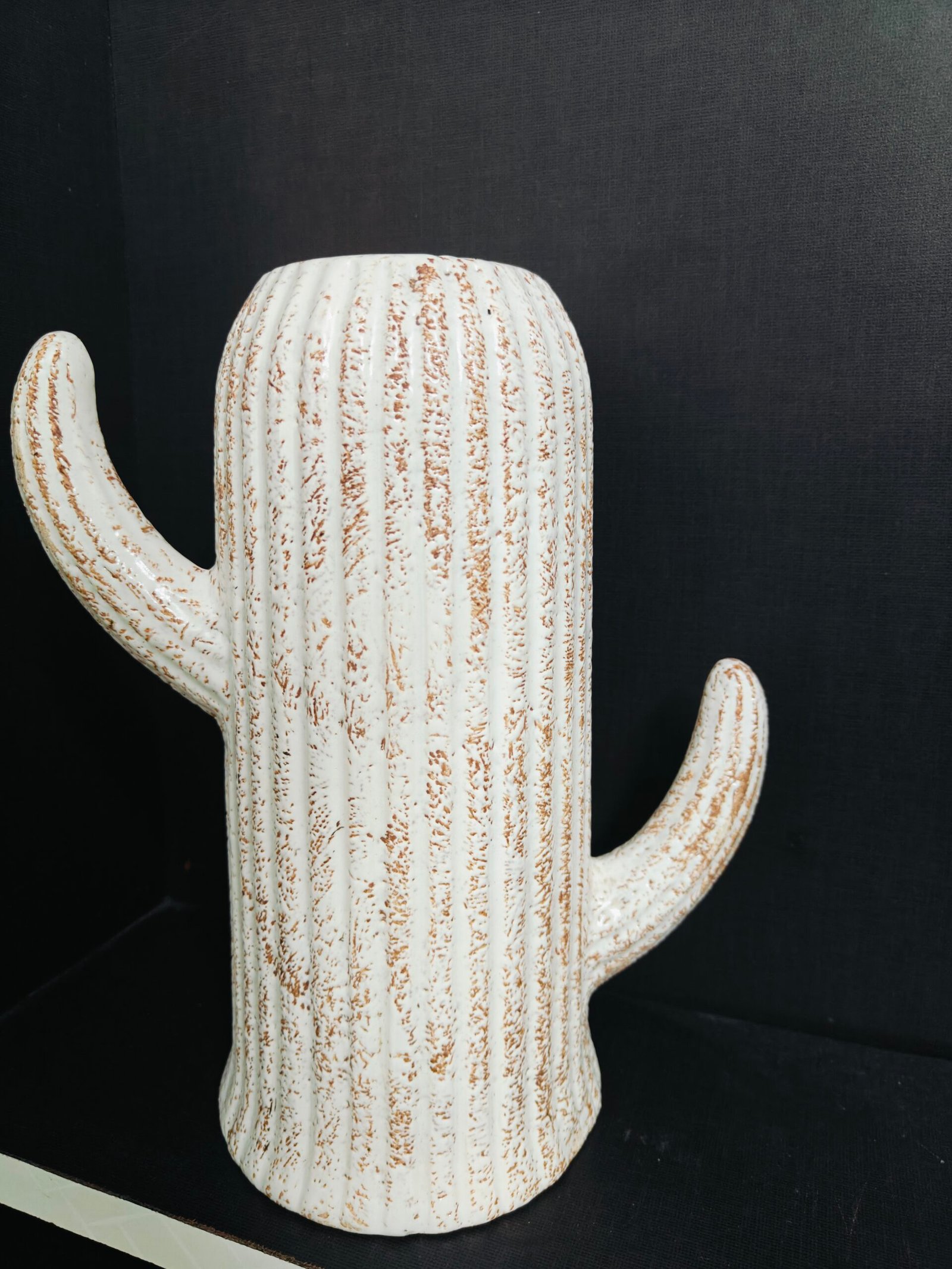 Ceramic Cactus Vase (11") : Brown & White