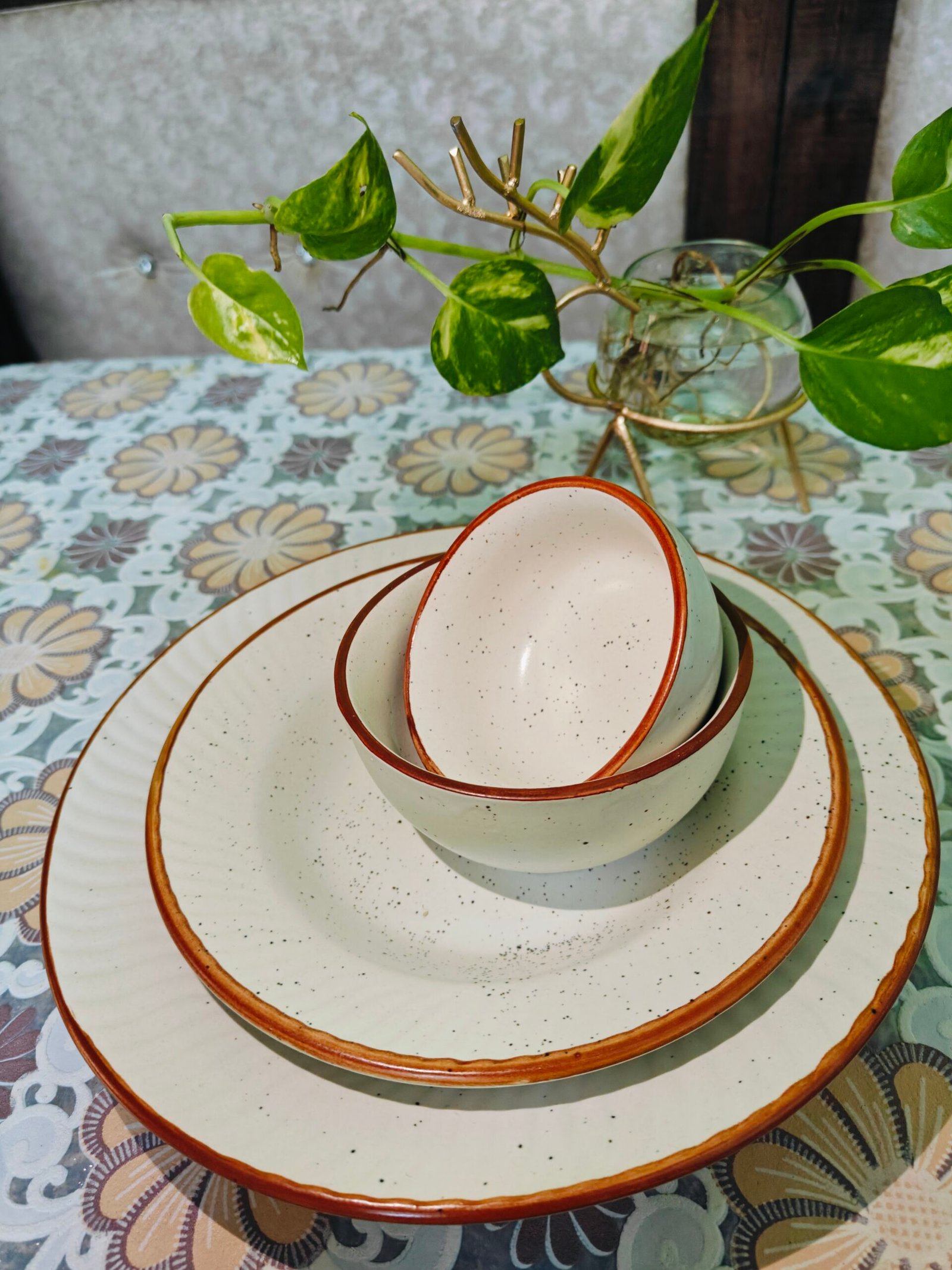 Spiral Plate and Bowl Set (set of 4) : White with Brown Border