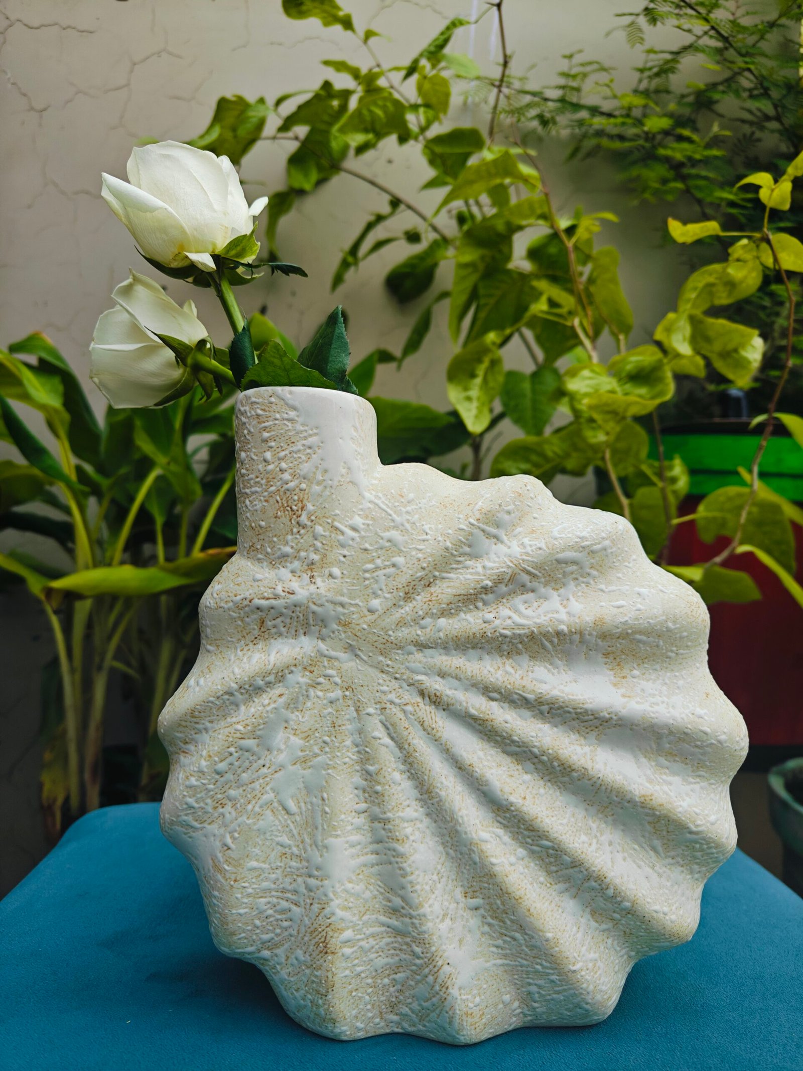 Ceramic Shell Vase : Brown Texture(8.5")