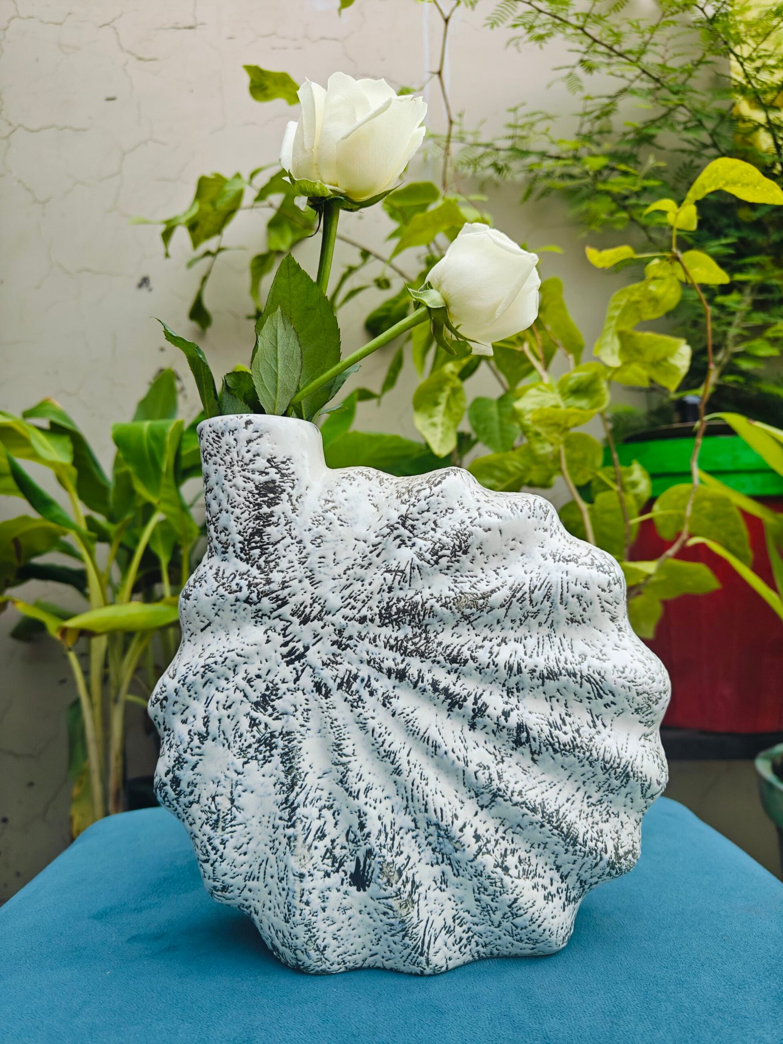 Ceramic Shell Vase : Black Texture(8.5")