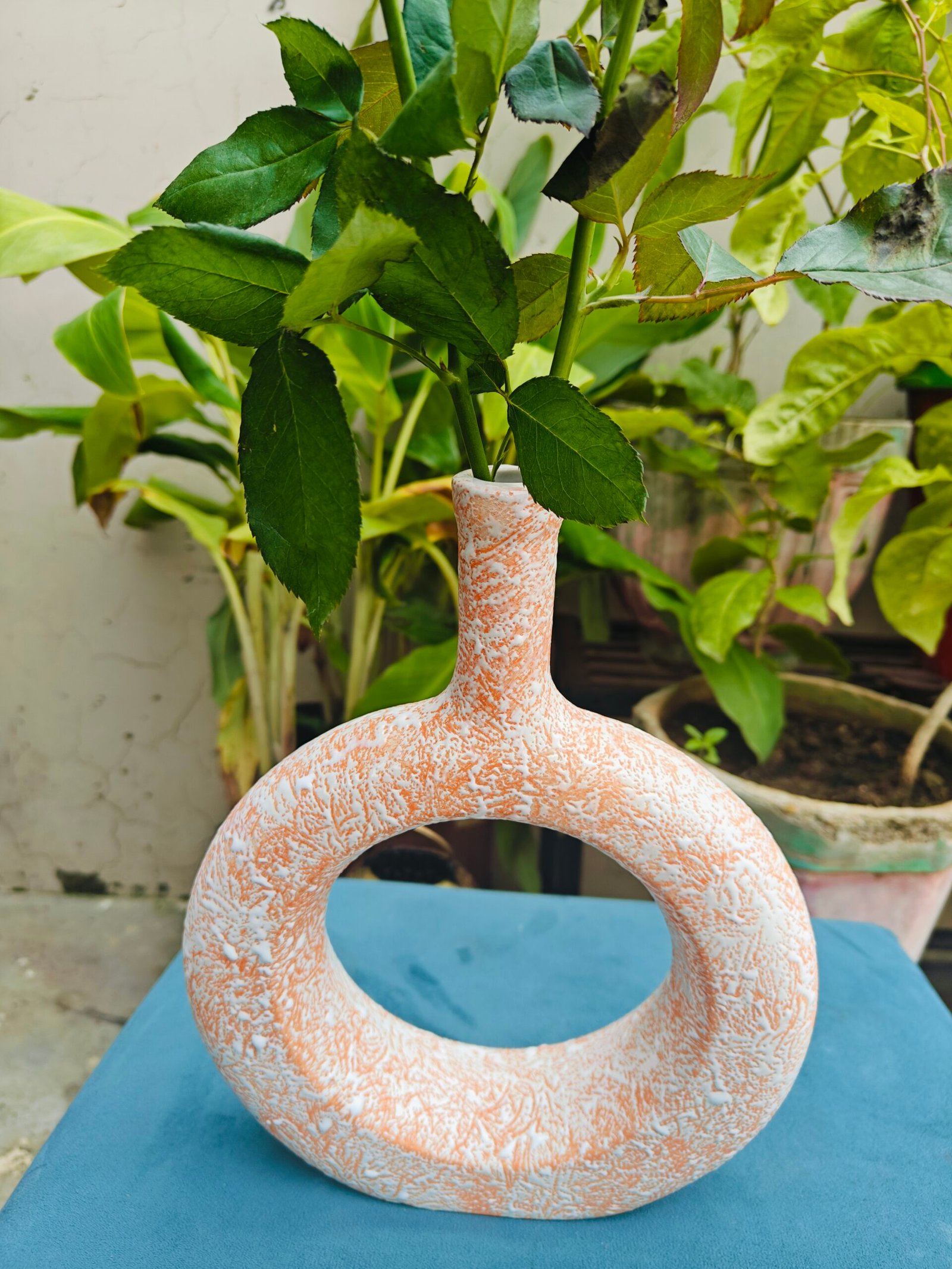 Ceramic Donut Vase :Orange Texture(10")