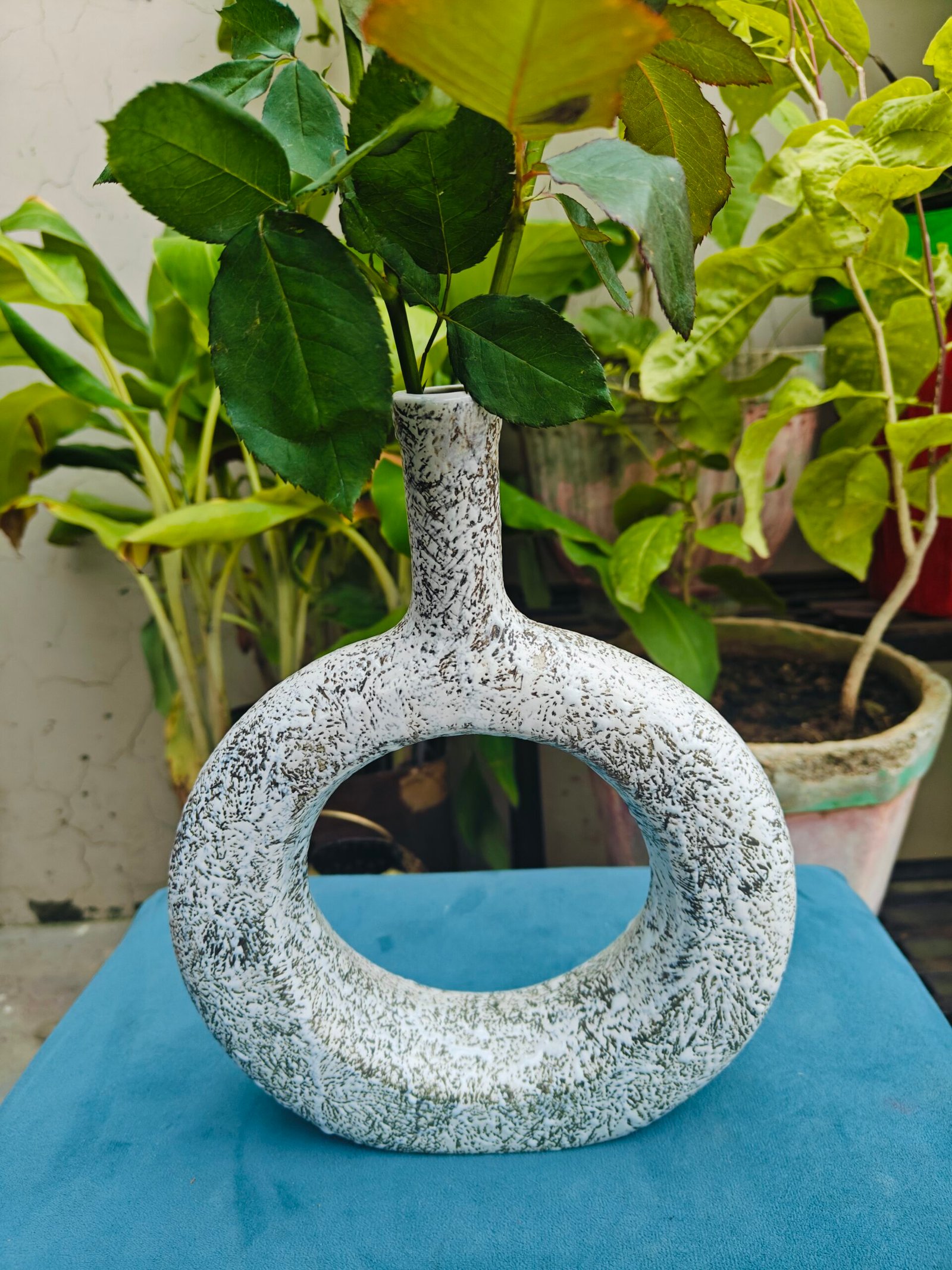 Ceramic Donut Vase: Black Texture(10")