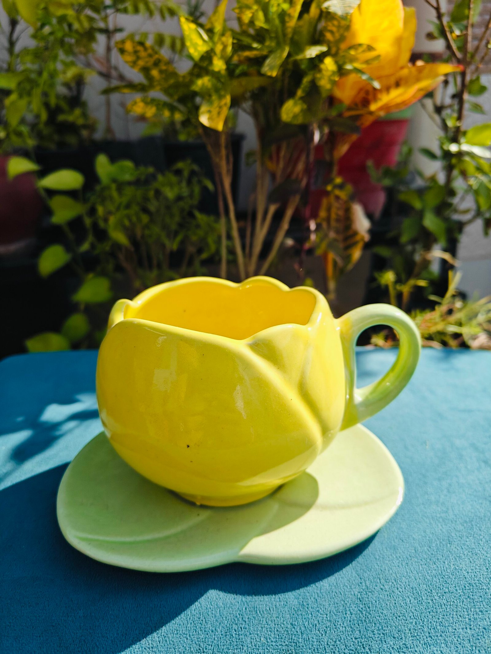 Tulip Ceramic Mug with Saucer (300ml)